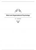 Samenvatting Work in the 21st Century -  Work & Organizational Psychology (1JV00)