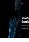 Samenvatting anatomie 4: dissecties