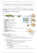 Summary of functional neuroanatomy
