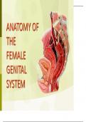 Female Genital System Anatomy