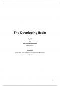The Developing Brain - Module 2