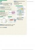 Metabole Systemen-Biochemie