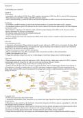 Lambda Phage Gene Regulation  (MCB3026F) notes