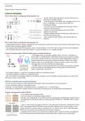 Molecular Genetics and Genomics (MCB3026F) complete course notes