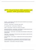 MTTC Visual Art Exam (095) questions and answers 100% guaranteed success.