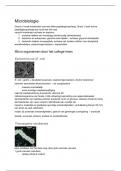 Zeer uitgebreide samenvatting Microbiology & Biochemistry MIB10306