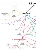 MicroBio 303 Microbial Cells Concept Map