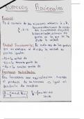 Números racionales RM-TEORIA(5)