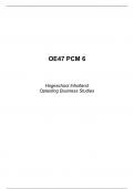 9,1 behaald! PCM 6 - Business Studies - Jaar 2