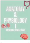 Anatomy and Physiology I Anatomic Direction, Position, and Plane with Practice Questions