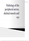Test Bank- Pathology of the Peripheral Nerves and Skeletal Muscles