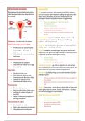 GCSE Biology (AQA) revision notes for female reproduction and hormones