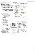 General Notes of DNA processes
