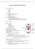 Résumé - anatomie cœur et grosse circulation