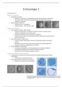 Résumé - embryologie partie 3