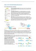 Genoom Samenvatting Week 4  - Deel 1 Moleculaire Mechanismen