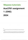 AUE3761 ASSIGNMENT ONE RECOMMENDED SOLUTIONS 2024