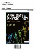 Test Bank for Anatomy & Physiology, 10th Edition by Patton, 9780323528795, Covering Chapters 1-48 | Includes Rationales