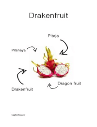 Productdossier Drakenfruit