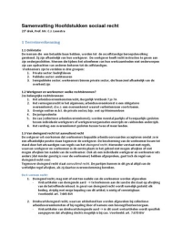 Samenvatting Hoofdstukken Sociaal Recht /  2014 / Prof. mr. C.J. Loonstra 