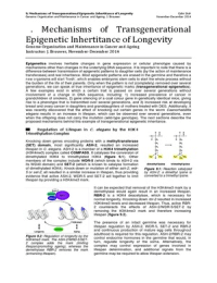 GCA: 9. Mechanisms of Transgenerational Epigenetic Inhertitance of Longevity