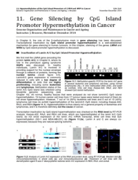GCA: 11. Gene Silencing by CpG Island Promoter Hypermethylation in Cancer