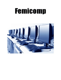 Project Femicomp
