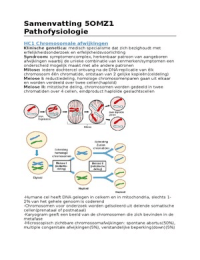 Samenvatting Pathofysiologie 5OMZ1