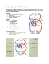 Anatomie en fysiologie van interne leerjaar 2