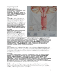 Samenvatting geneeskunde Gyneacologie en verloskunde