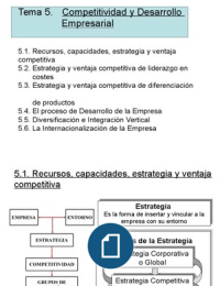Tema 5 - Competitividad y Desarrollo Empresarial