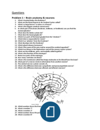 Questions & answers course 1.4 Biopsychology