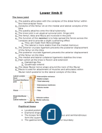 Medical anatomy of the Knee, lower leg and foot