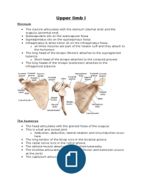 Medical anatomy of the upper limb pt1
