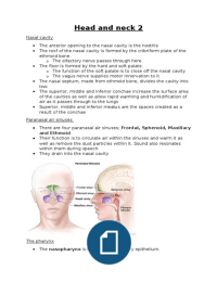 Medical anatomy of the head and neck pt2