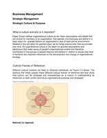 Strategic Culture and Purpose - Detailed Lecture Notes