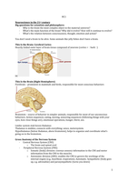 Summary neuropsychology notes and lectures