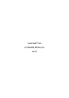 Samenvatting Economie Module 6 HAVO