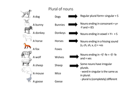 BB outline Plural of nouns