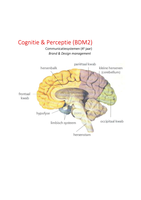 Cognitie en perceptie (BDM2) Samenvatting hoorcolleges