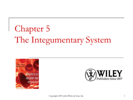 Integumentary System 1