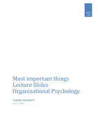 Most important things Lecture Slides Organizational Psychology