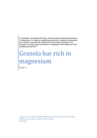 Final Report on Granola bar rich in magnesium