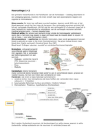 HNE-51306 Lectures Nutritional Neurosciences
