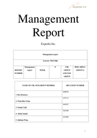 Management report Expedia