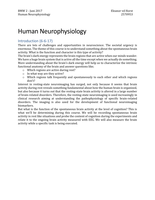 Samenvatting Human Neurophysiology