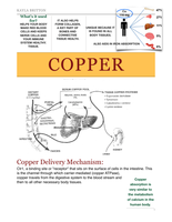Micronutrient Fact Sheet--Copper