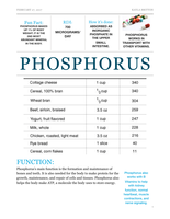 Micronutrient Fact Sheet--Phosphorous