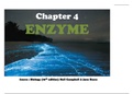 CHAPTER 4 ENZYME.
