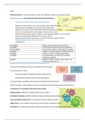 Management Strategy & Database Hoofdstuk 4